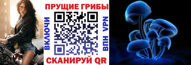Галлюциногенные грибы GOLDEN TEACHER Берёзовский